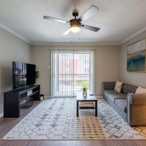 Modern Apartment - Medical Center | 30+ day stay